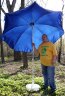 Пляжный зонт складной 2,0 м (синий)